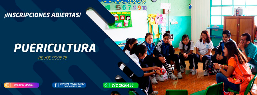 puericultura curso, oferta educativa